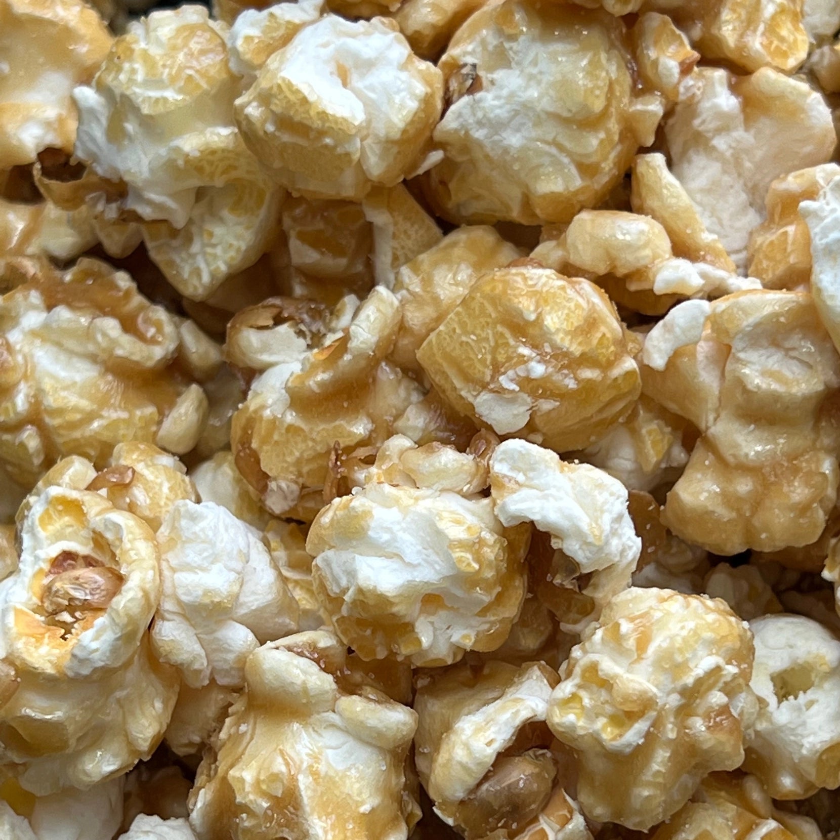 POPPED Sea Salt Caramel Artisan Popcorn